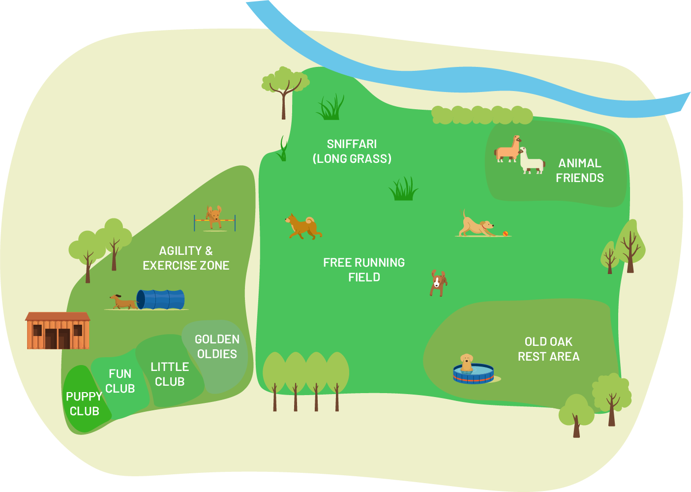 The Dog Club Maldon Doggy Daycare, Puppy Training & Dog Sitting